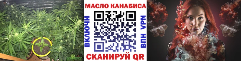 Купить где  Обь  ТГК гашишное масло 