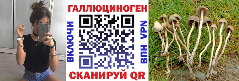 Купить закладки  Обь  Псилоцибиновые грибы прущие грибы 